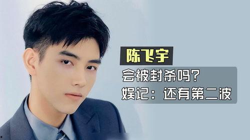 陈飞宇爆料第二波视频,第二波视频揭秘幕后真相